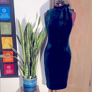 Elegant Velvet Sleeveless Dress in Deep Green - Bundle and save 25%!!!!!